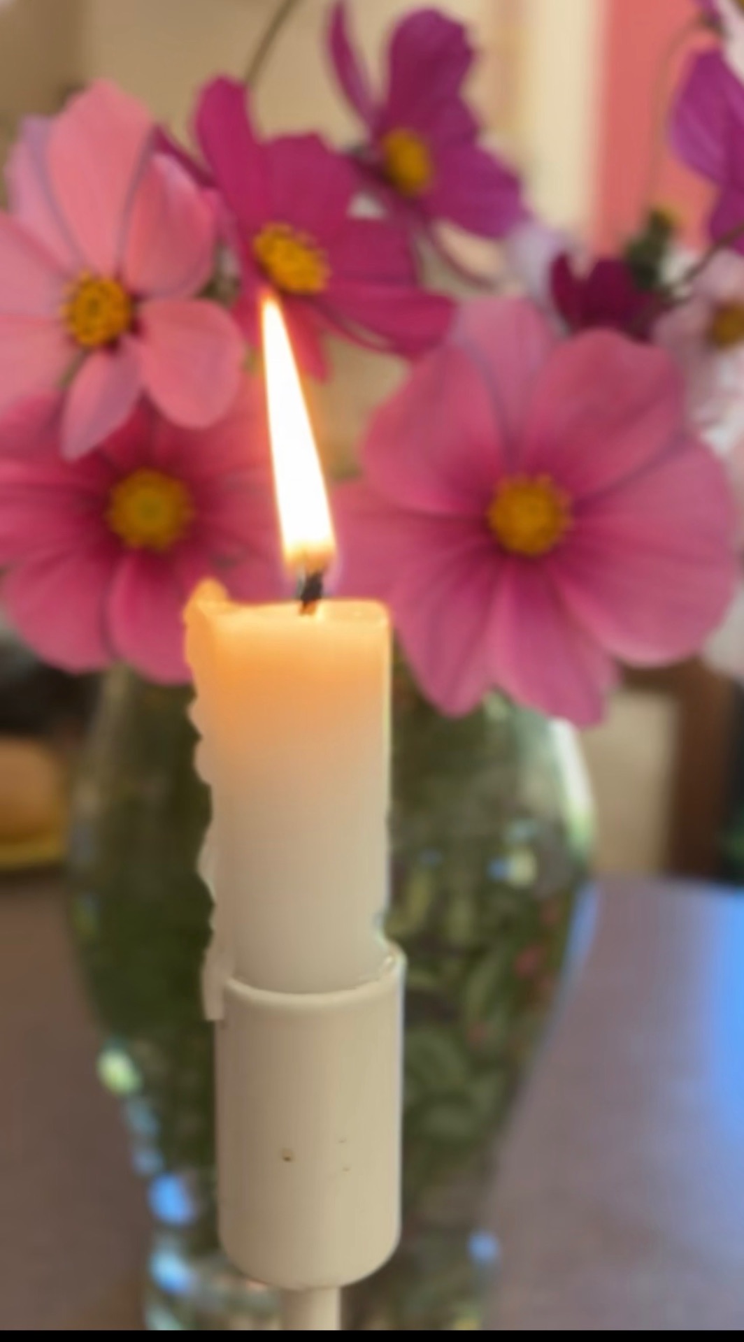 A lit white candle before soft pink cosmos flowers