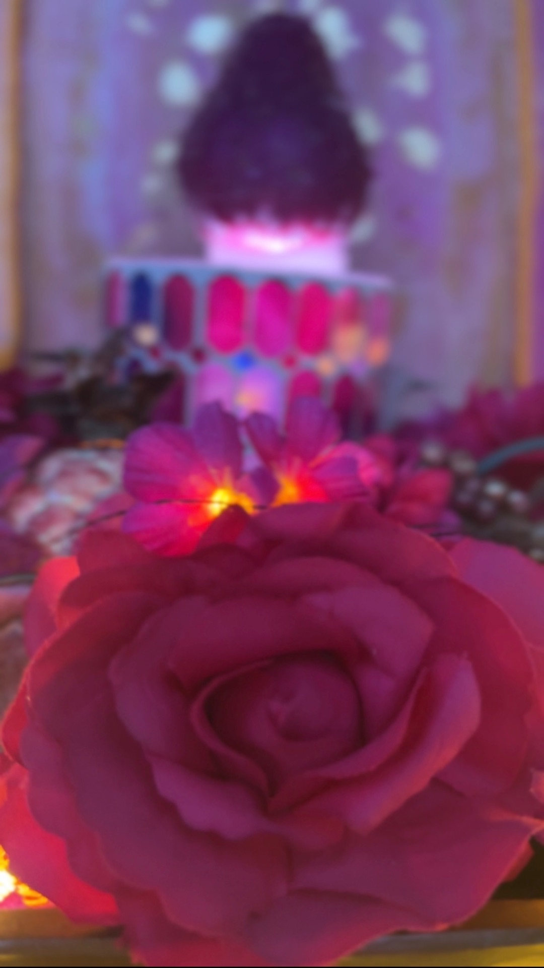 A deep pink rose glowing before the altar